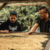 Typica Washed - LE, Omar Arango & Family, Libano, Tolima