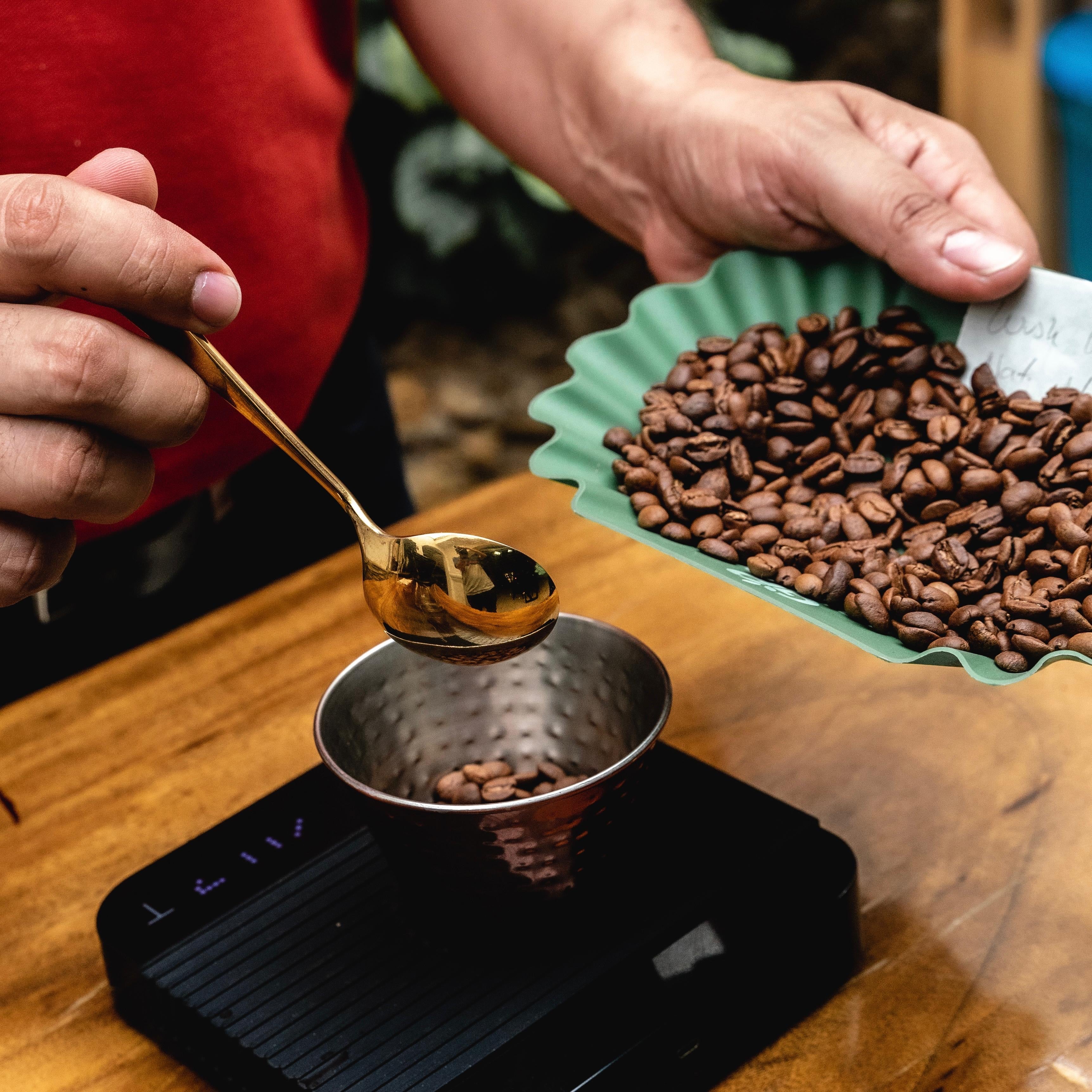 Red Wush Wush Natural, Rio Blanco, Tolima – Yipao Coffee®